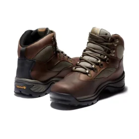 Chocorua Gore-tex Hiking Boots “Brown”
