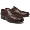 Edgeworth Skate Shoe “Brown”