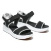 Los Angeles Wind “Black White”