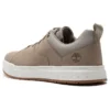 Maple Grove Trainer “Tan”