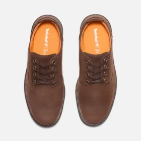 Men’s Redwood Falls Waterproof Shoe