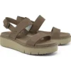 Safari Dawn “Grey Brown”